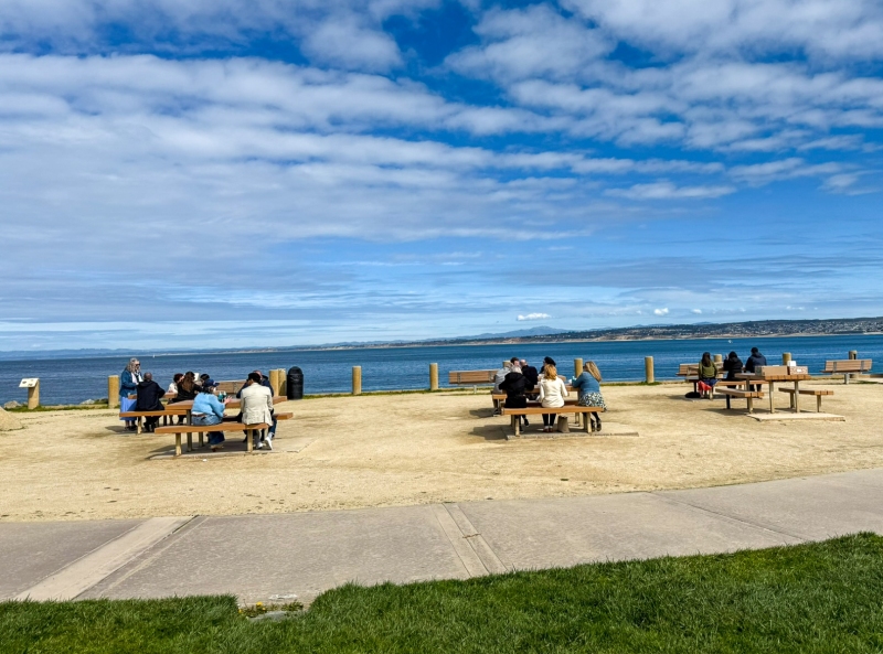 TED-Monterey-Picnic-2025