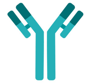 VRDN-003: A monoclonal antibody targeting IGF-1R.